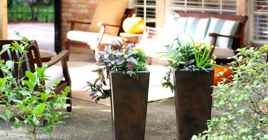Outdoor container gardens on the patio