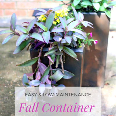 A low-maintenance fall container garden for the patio