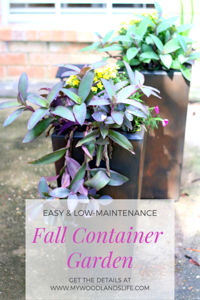 Easy and low-maintenance fall container gardens