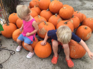 pumpkin patch