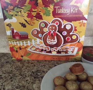 Trader Joes Gingerbread Turkey Kit
