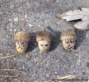 Acorn faces with hats are a fun and easy outdoor project to do with toddlers