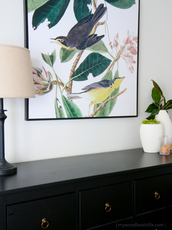 Audubon Bird by Jean Rabin Framed Wall Art from World Market console table decor neutral home