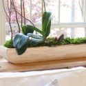 Orchid arrangement with moss and dried flowers in natural wood bowl on console table behind white couch