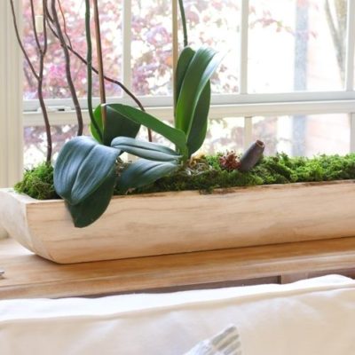 Easy DIY orchid arrangement – no blooms needed!
